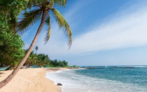 Beach Side to Hill Country Tour